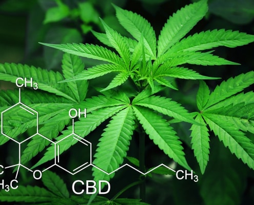 image fleur cbd cannabis