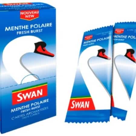 Carte swan menthe polaire