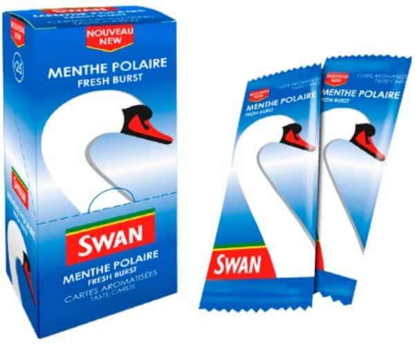Boite de 25 Cartes Fraîcheurs SWAN - Menthol