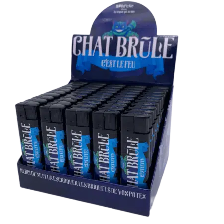 Boite briquet chat brule