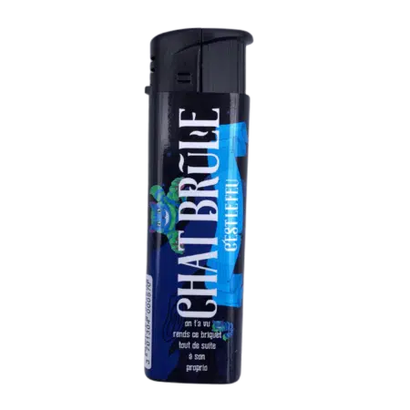 briquet electronique chat brule