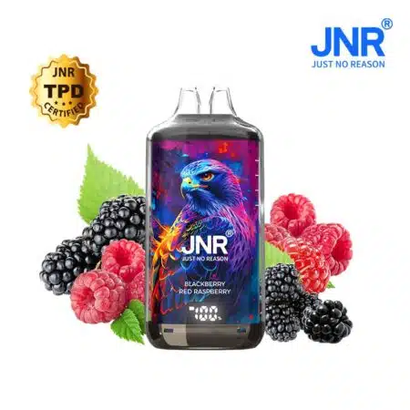 JNR Falcon 28000 Puff Rechargeable Blackberry Red Raspberry 2% Nicotine (100% légale)