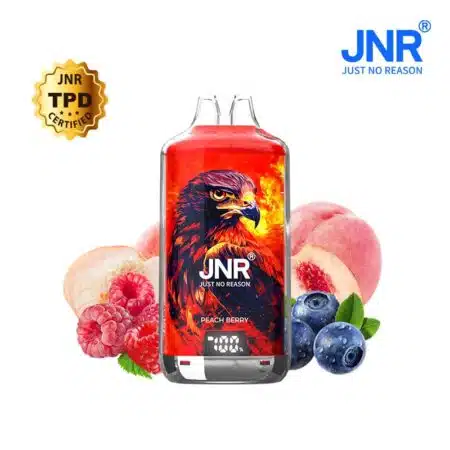 JNR Falcon 28000 Puff Rechargeable Peach Berry 2% Nicotine (100% légale)