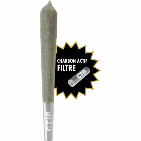 Pré-roll Amnesia avec Filtre Charbon by Zion