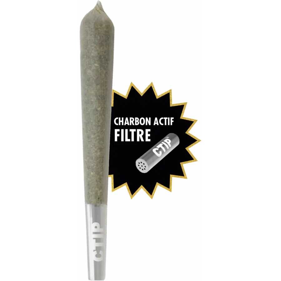 Pré-roll Amnesia avec Filtre Charbon by Zion