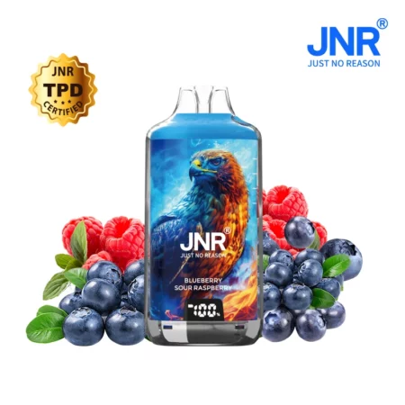 JNR Falcon 28000 Puff Blueberry Sour Raspberry 2% Nicotine (100% légale) (Copie)